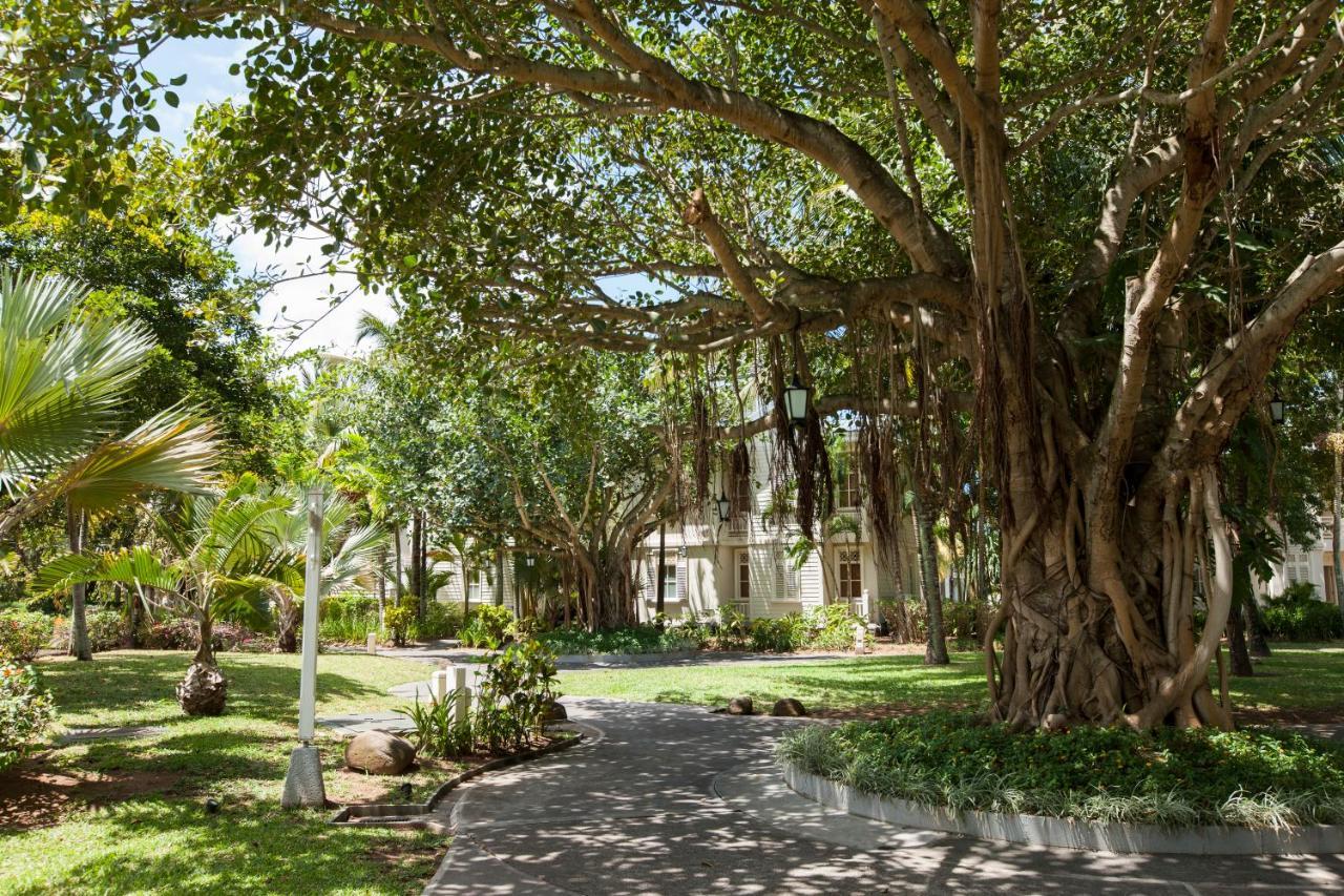 Heritage Le Telfair Golf & Wellness Resort Bel Ombre Exterior photo The Banyan Tree at the University of the South Pacific